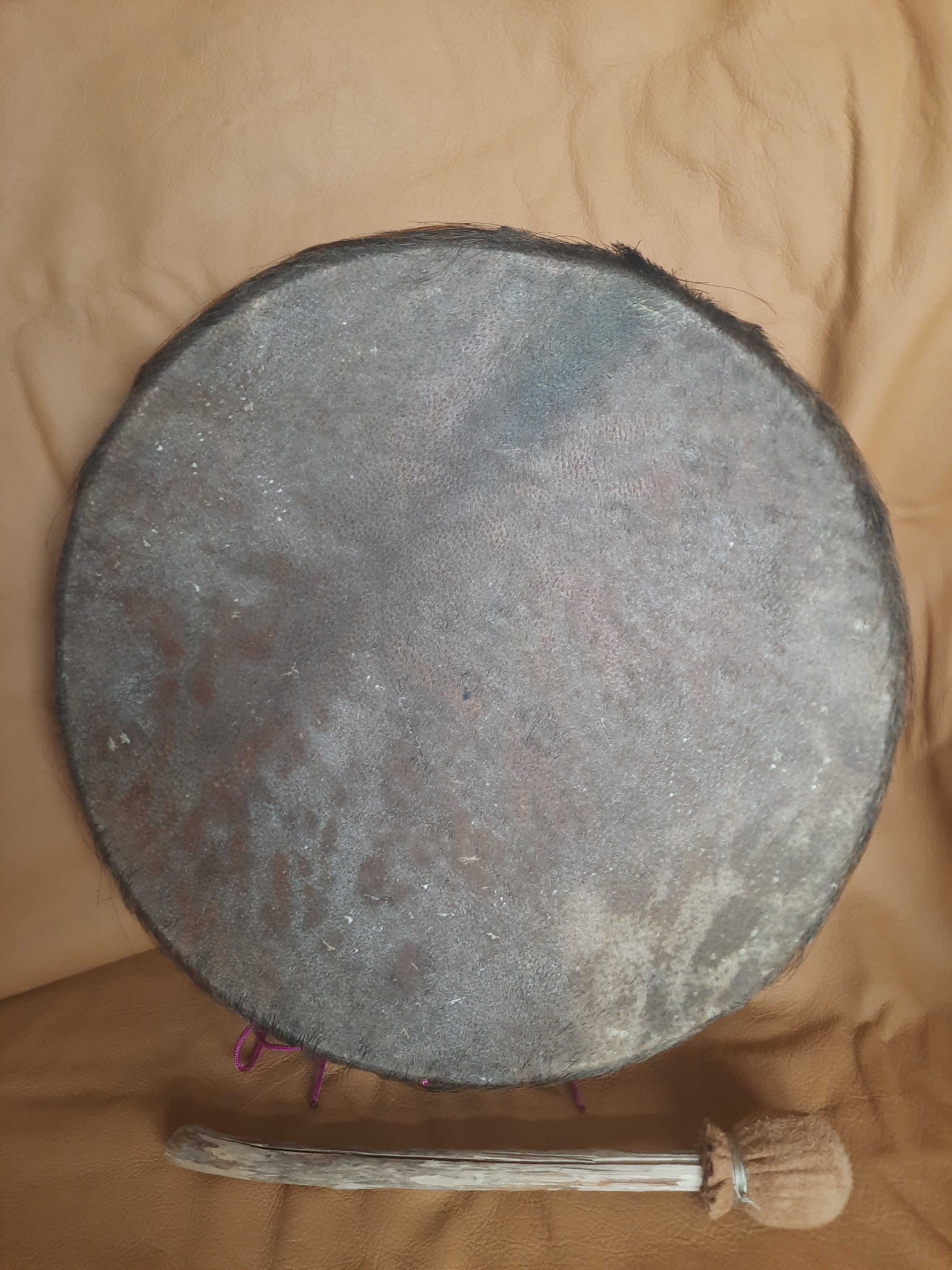 Tambours en peau de Sanglier