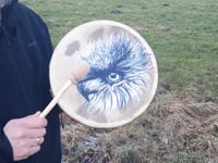 Tambour en peau de Bison