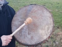 Tambours en peau de Sanglier