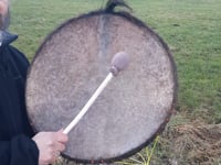 Tambours en peau de sanglier